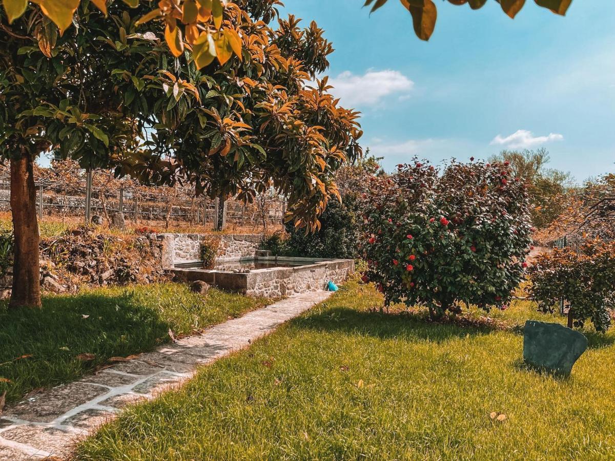 Windmill House Villa Санта Мария да Фейра Екстериор снимка